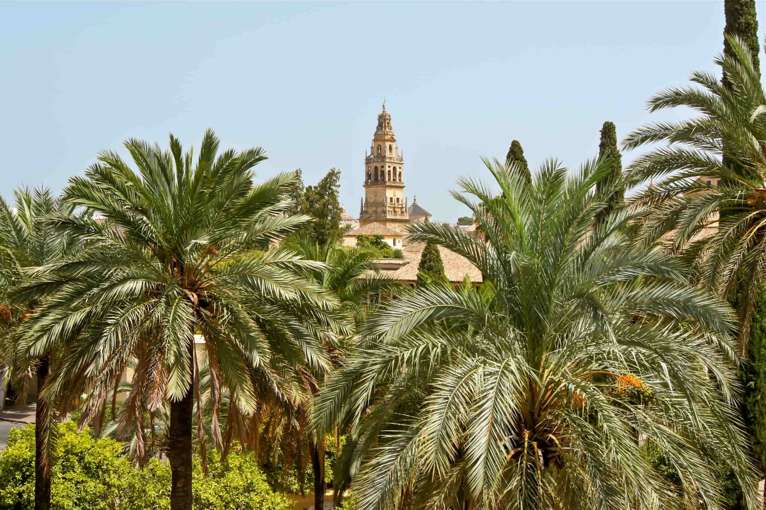 tour cordoba